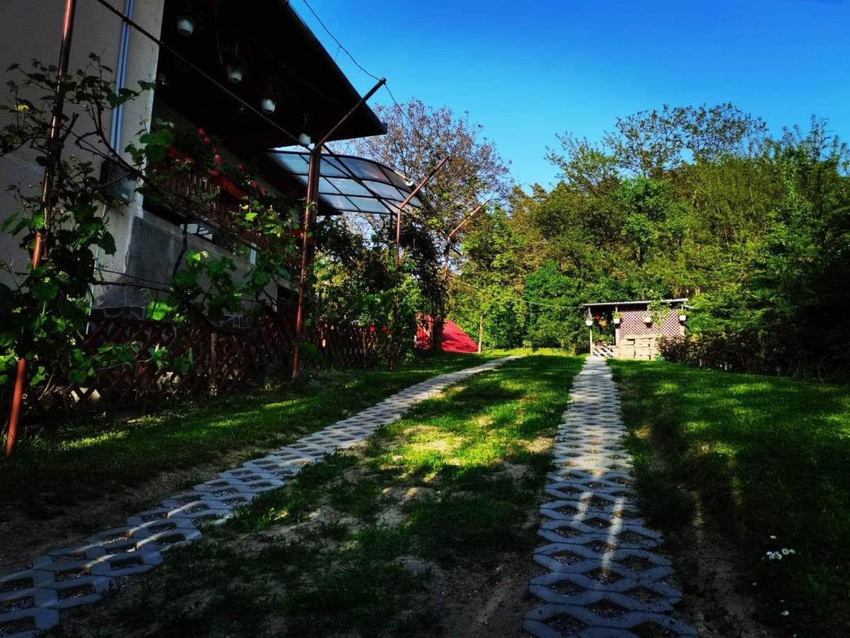 Casa De Vacanta Zsenik Vendeghaz Sovata Ngoại thất bức ảnh