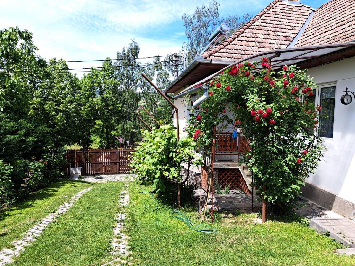 Casa De Vacanta Zsenik Vendeghaz Sovata Ngoại thất bức ảnh